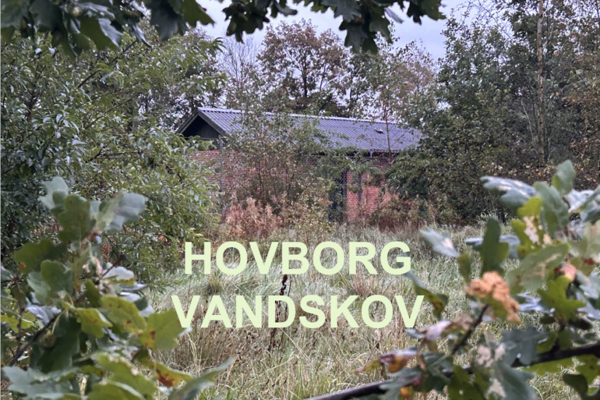 VANDSKOV 2
